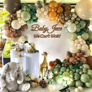 Baby Welcome Arch and light balloon Decor